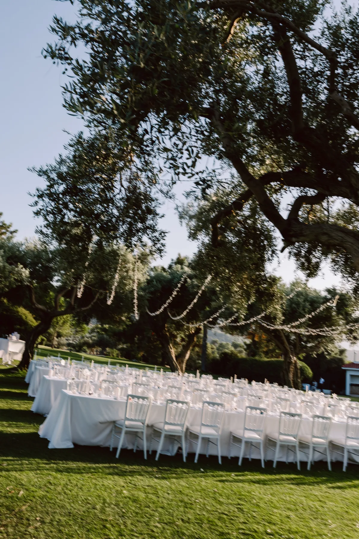 Zeytin ağacının altındaki uzun masa ve asma ışıklar, Korineum Golf & Beach Resort — Mert Gardiyanoğlu Photography