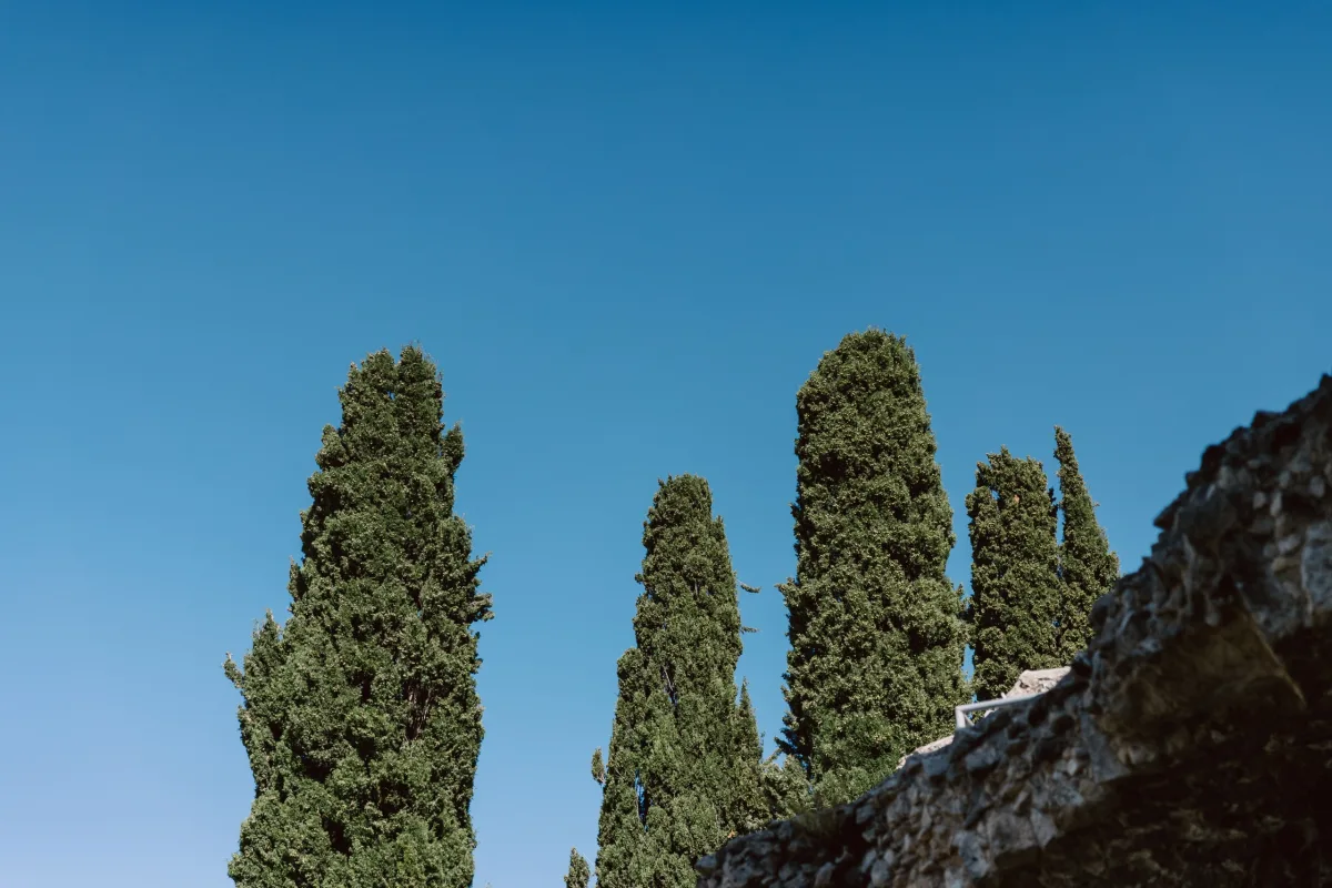 Servi ağaçları ve manastır duvarı, Bellapais Manastırı — Mert Gardiyanoğlu Photography